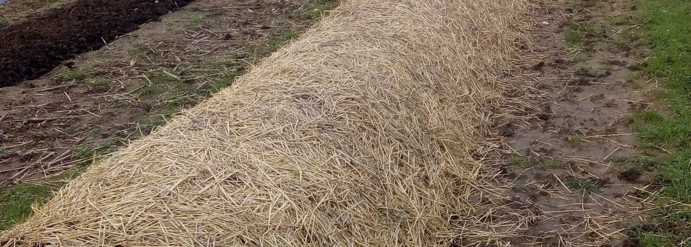 La permaculture